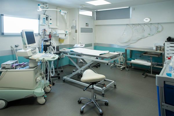 Surgical sector